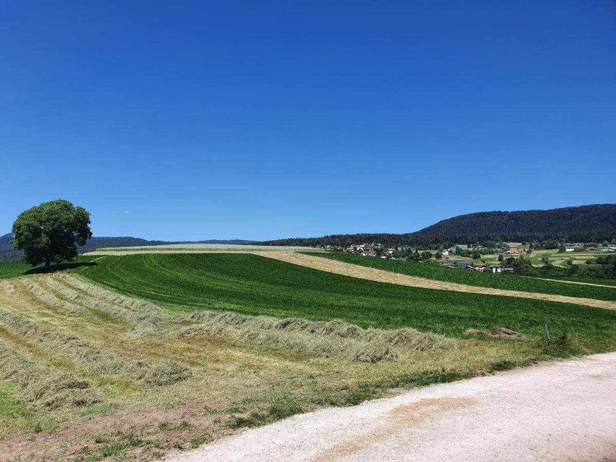 Agritur Belsogno B&B Brez Kültér fotó
