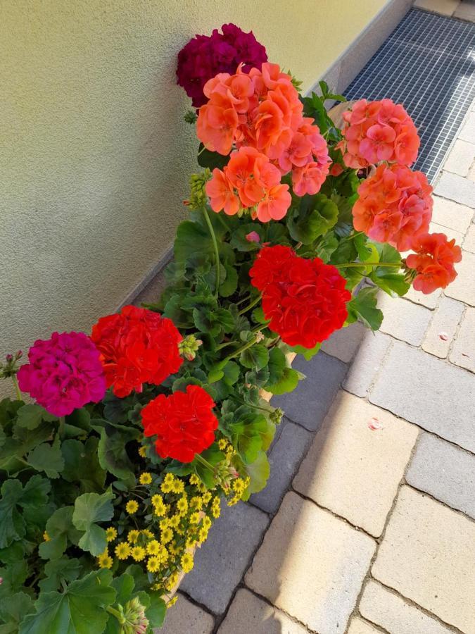 Agritur Belsogno B&B Brez Kültér fotó